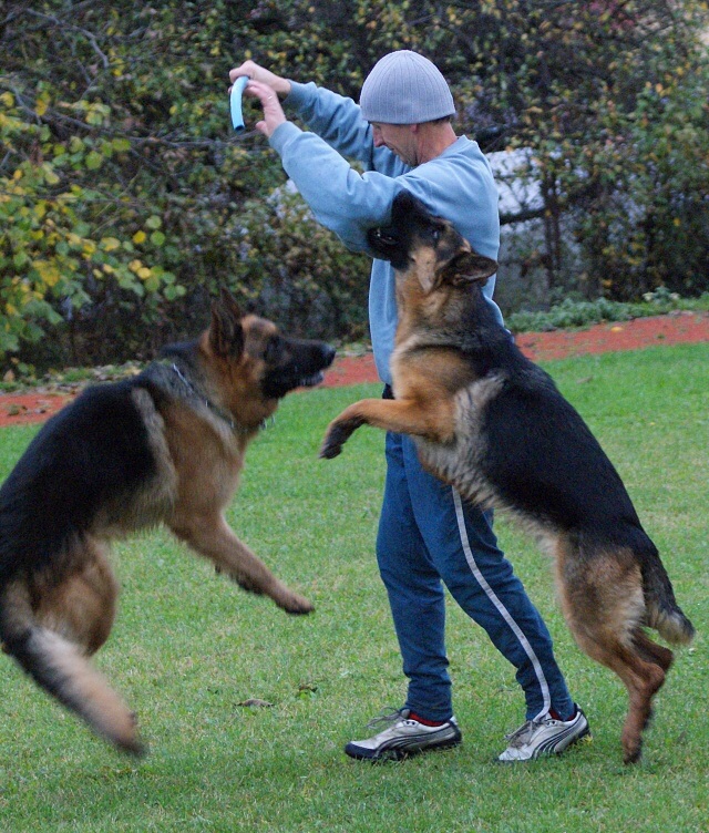 ScholaInNatura Fotogaleria