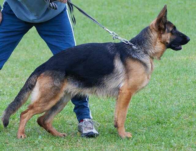 ScholaInNatura Fotogaleria