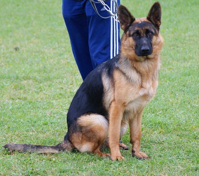 ScholaInNatura Fotogaleria