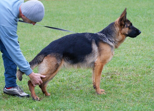 ScholaInNatura Fotogaleria