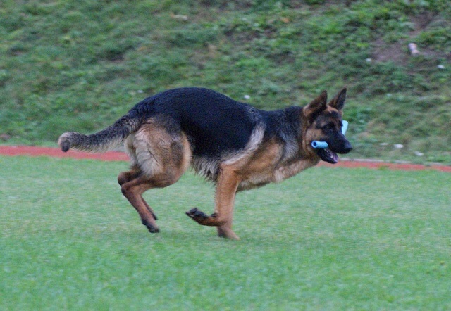 ScholaInNatura Fotogaleria