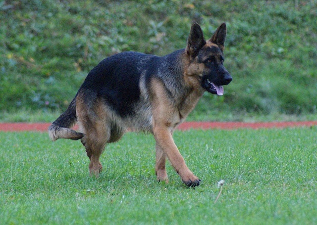 ScholaInNatura Fotogaleria