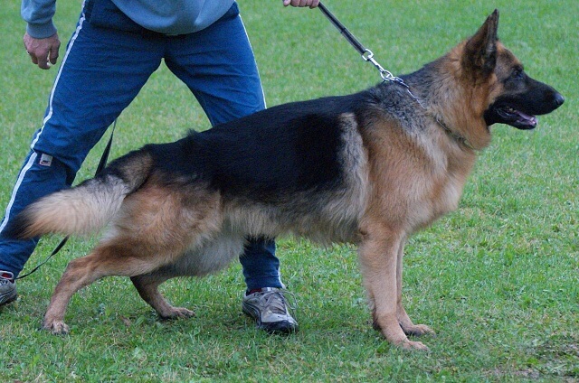 ScholaInNatura Fotogaleria