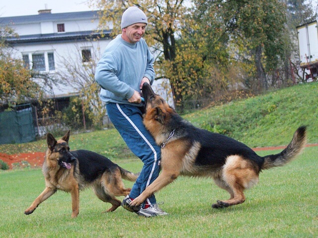 ScholaInNatura Fotogaleria