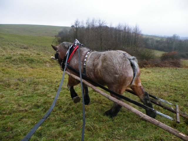 ScholaInNatura Fotogaleria