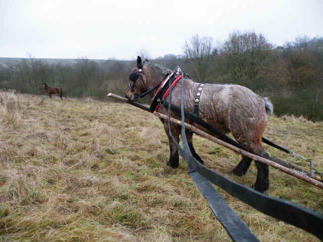 ScholaInNatura Fotogaleria