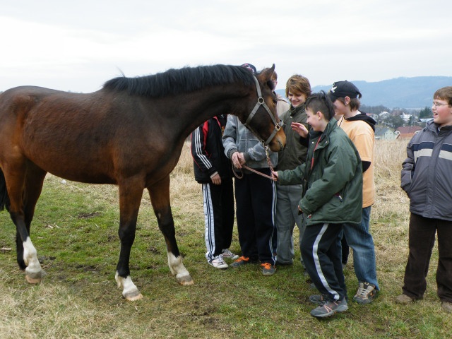ScholaInNatura Fotogaleria
