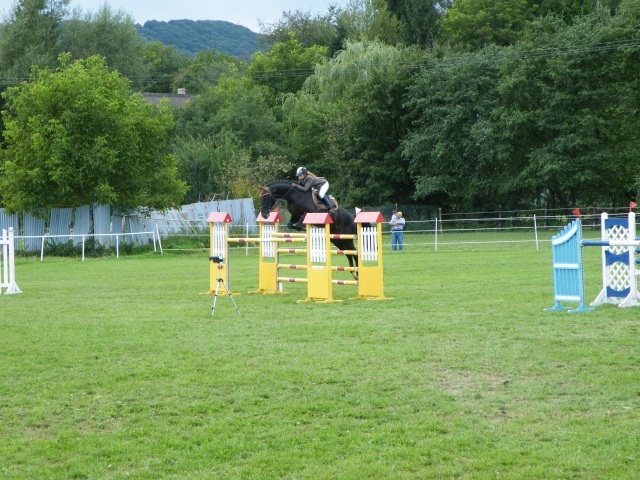 ScholaInNatura Fotogaleria