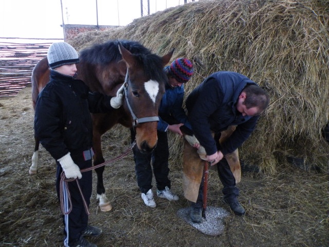 ScholaInNatura Fotogaleria