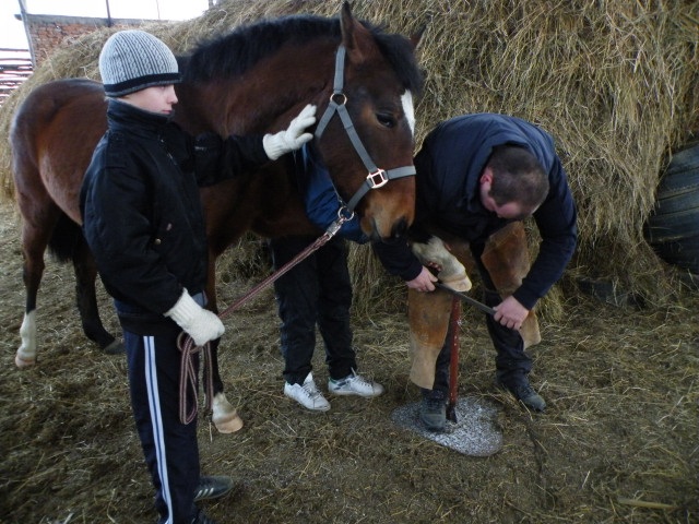 ScholaInNatura Fotogaleria