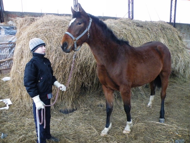 ScholaInNatura Fotogaleria