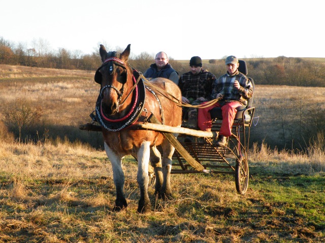 ScholaInNatura Fotogaleria