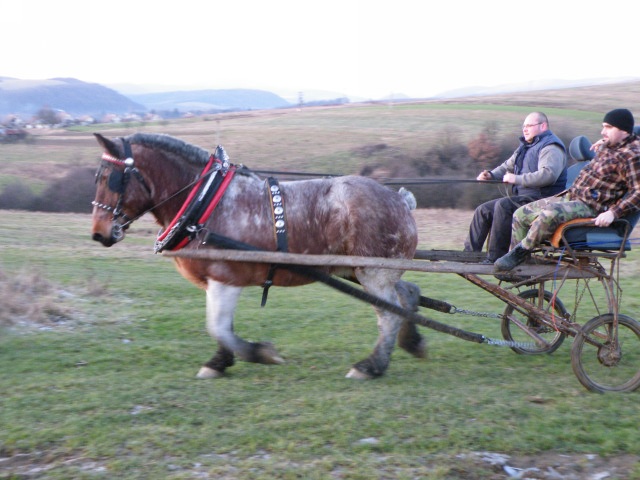 ScholaInNatura Fotogaleria