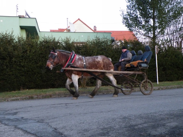 ScholaInNatura Fotogaleria