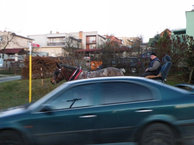 ScholaInNatura Fotogaleria