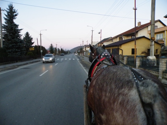 ScholaInNatura Fotogaleria
