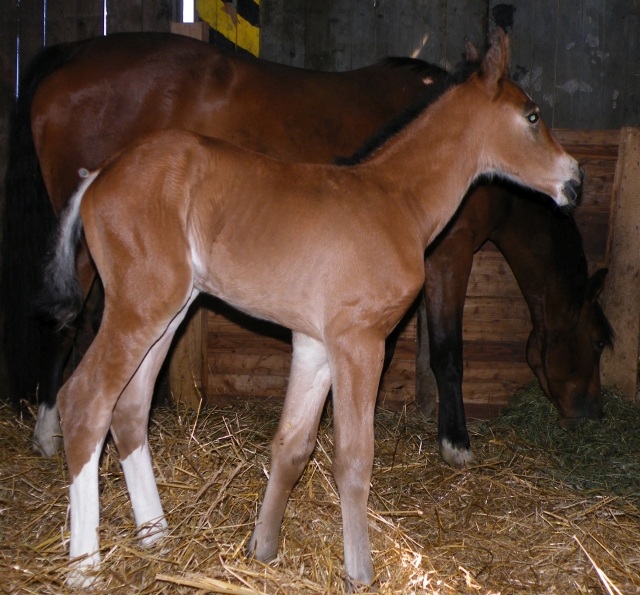 ScholaInNatura Fotogaleria