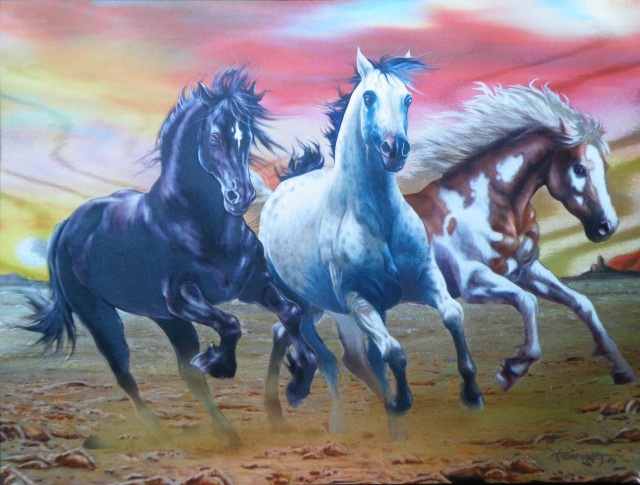 ScholaInNatura Fotogaleria