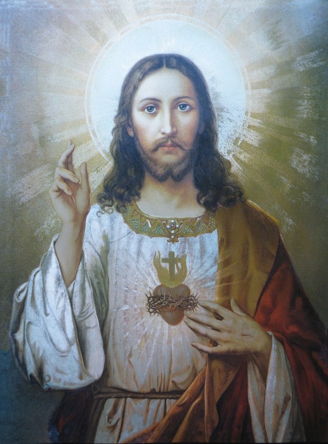 ScholaInNatura Fotogaleria