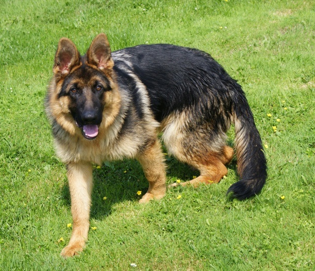 ScholaInNatura Fotogaleria