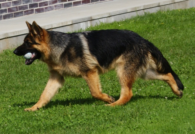 ScholaInNatura Fotogaleria