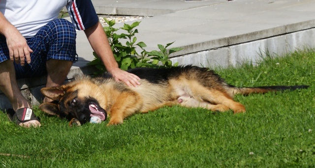 ScholaInNatura Fotogaleria