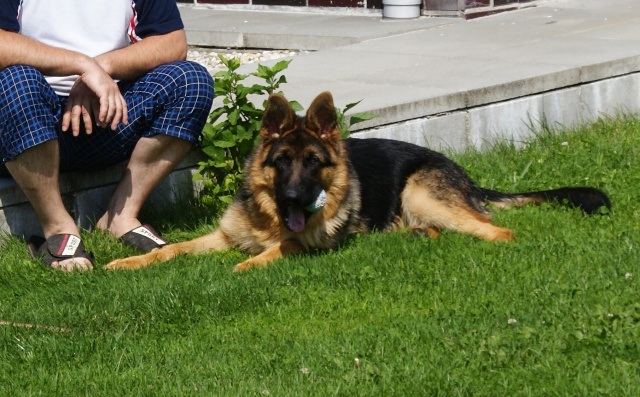 ScholaInNatura Fotogaleria