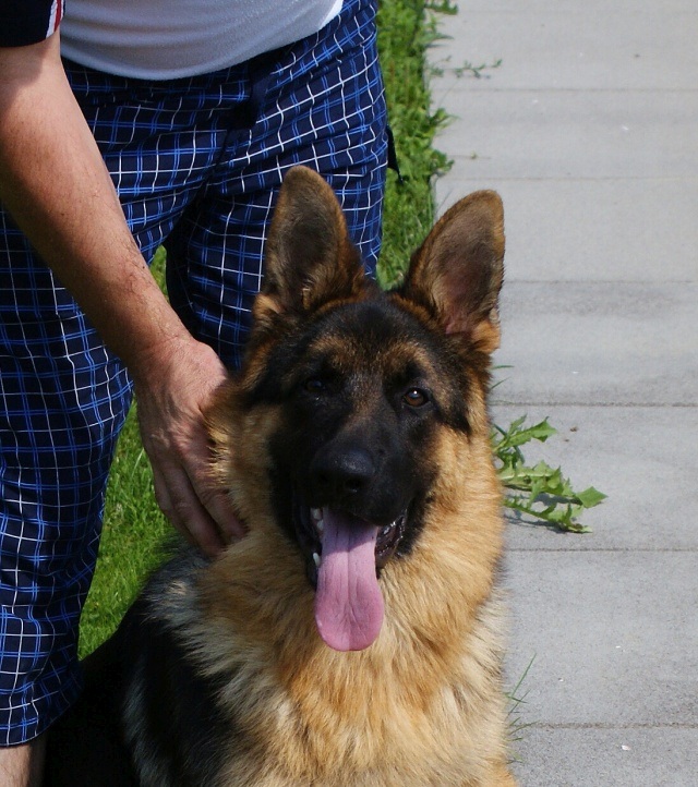 ScholaInNatura Fotogaleria