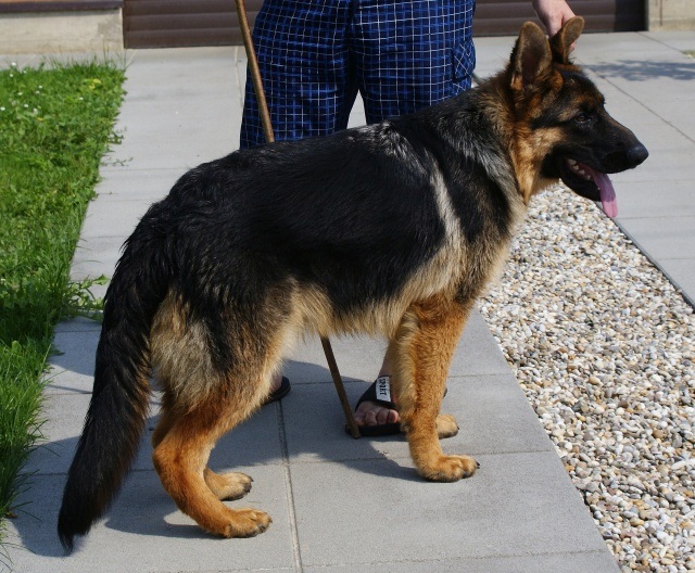 ScholaInNatura Fotogaleria