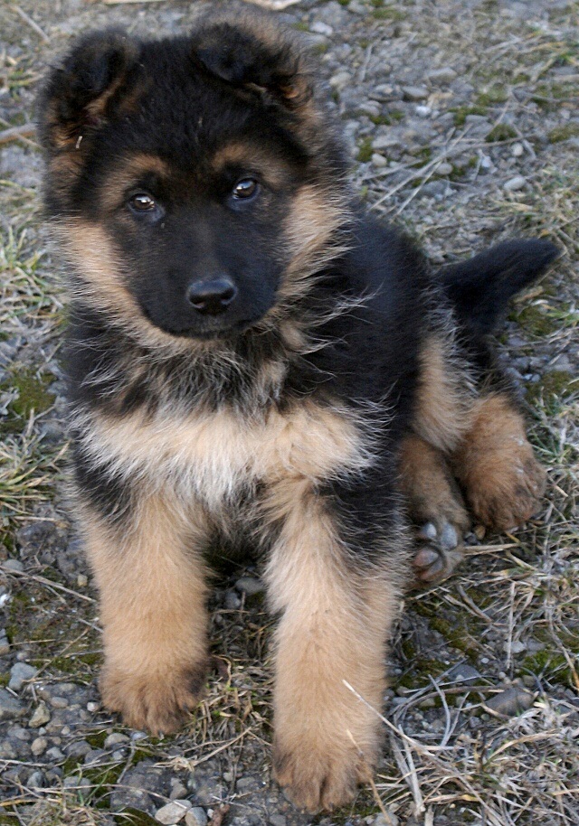 ScholaInNatura Fotogaleria