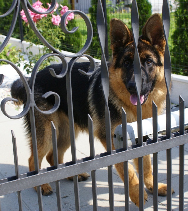 ScholaInNatura Fotogaleria