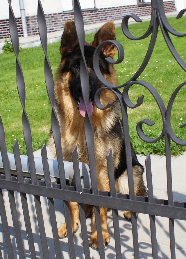 ScholaInNatura Fotogaleria