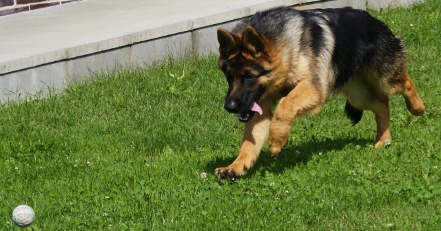 ScholaInNatura Fotogaleria