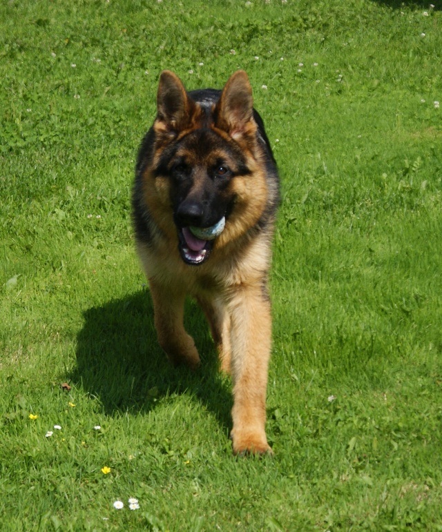 ScholaInNatura Fotogaleria