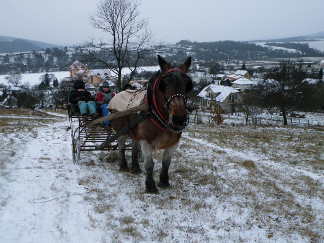 ScholaInNatura Fotogaleria