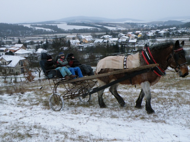 ScholaInNatura Fotogaleria