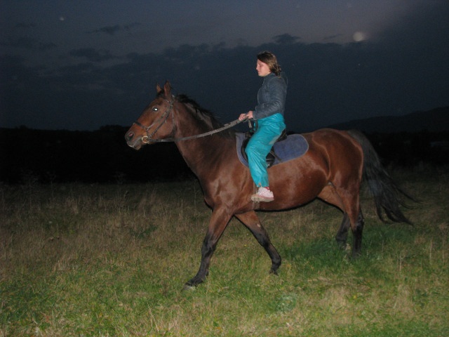 ScholaInNatura Fotogaleria