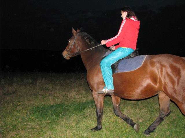 ScholaInNatura Fotogaleria