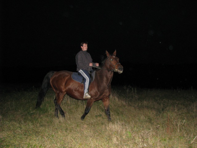 ScholaInNatura Fotogaleria