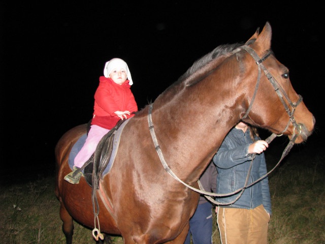 ScholaInNatura Fotogaleria
