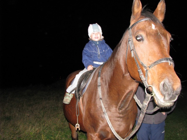 ScholaInNatura Fotogaleria