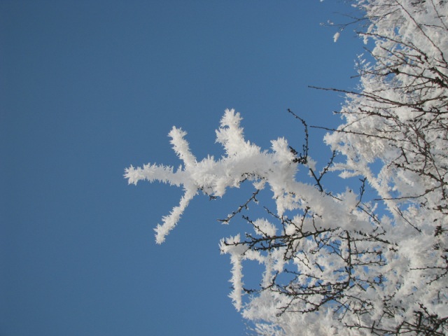 ScholaInNatura Fotogaleria