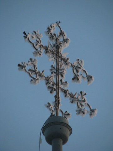 ScholaInNatura Fotogaleria