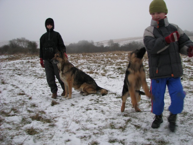 ScholaInNatura Fotogaleria