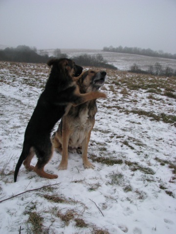 ScholaInNatura Fotogaleria