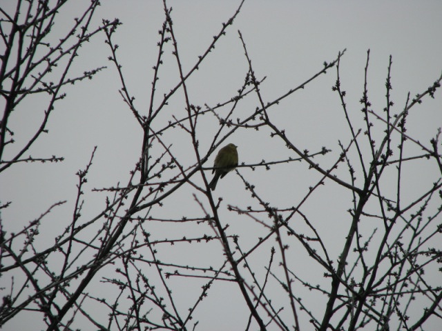 ScholaInNatura Fotogaleria