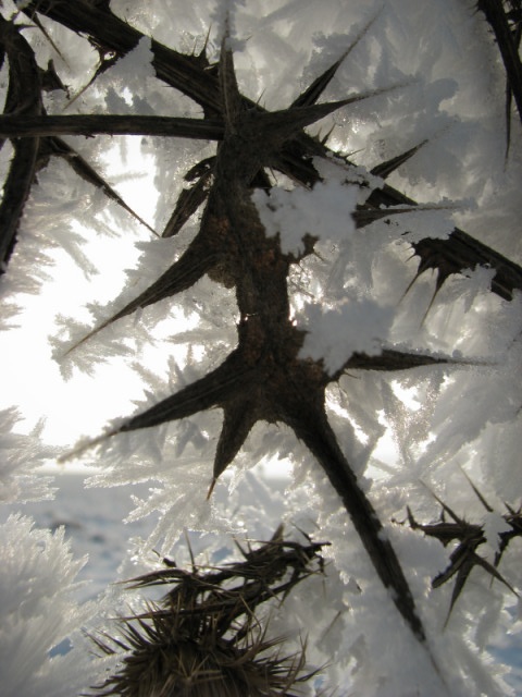 ScholaInNatura Fotogaleria