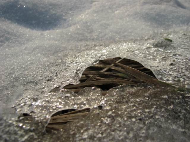 ScholaInNatura Fotogaleria