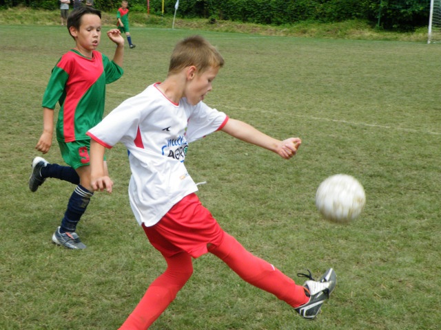 ScholaInNatura Fotogaleria