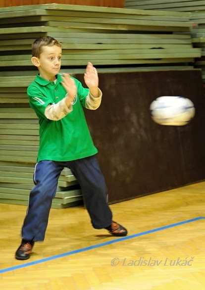 ScholaInNatura Fotogaleria